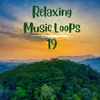 Relaxing Music Loops 19